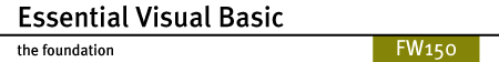 Essential Visual Basic: the foundation